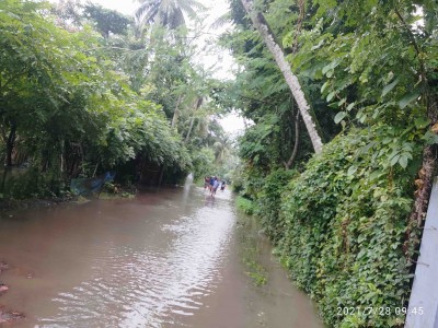 টানা বৃষ্টিতে প্লাবিত বাগেরহাটের নিম্নাঞ্চল, শত শত পরিবার পানিবন্দী
